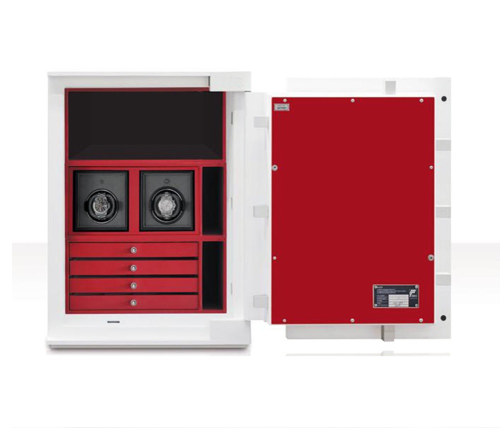 Esempi moduli casseforti BX